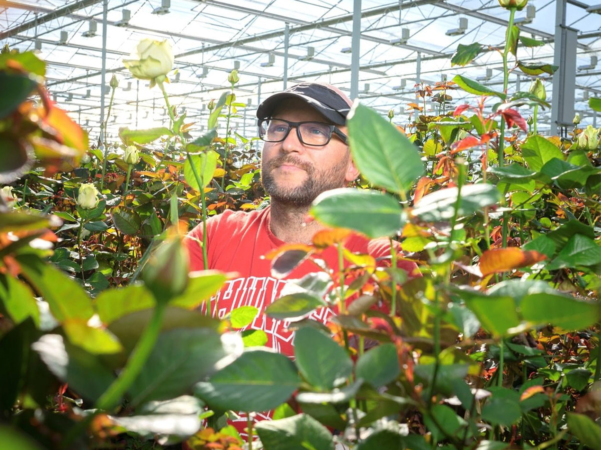 Grower in greenhouse