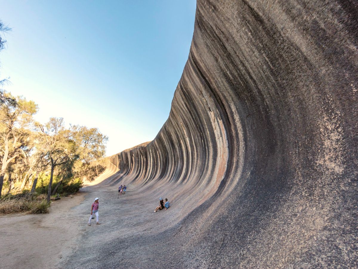 Australias wave rock wildflower trail