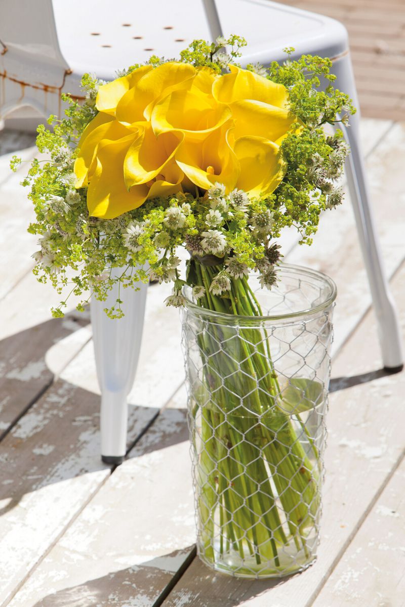 Summer Callas in yellow tones