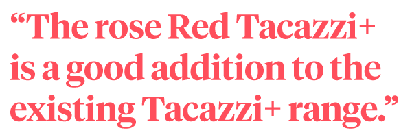 The Rose Buyer of Agora Group About Red Tacazzi