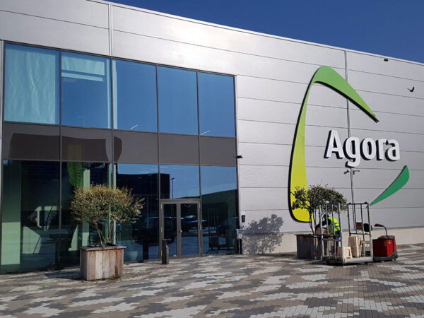 The Rose Buyer of Agora Group About Red Tacazzi