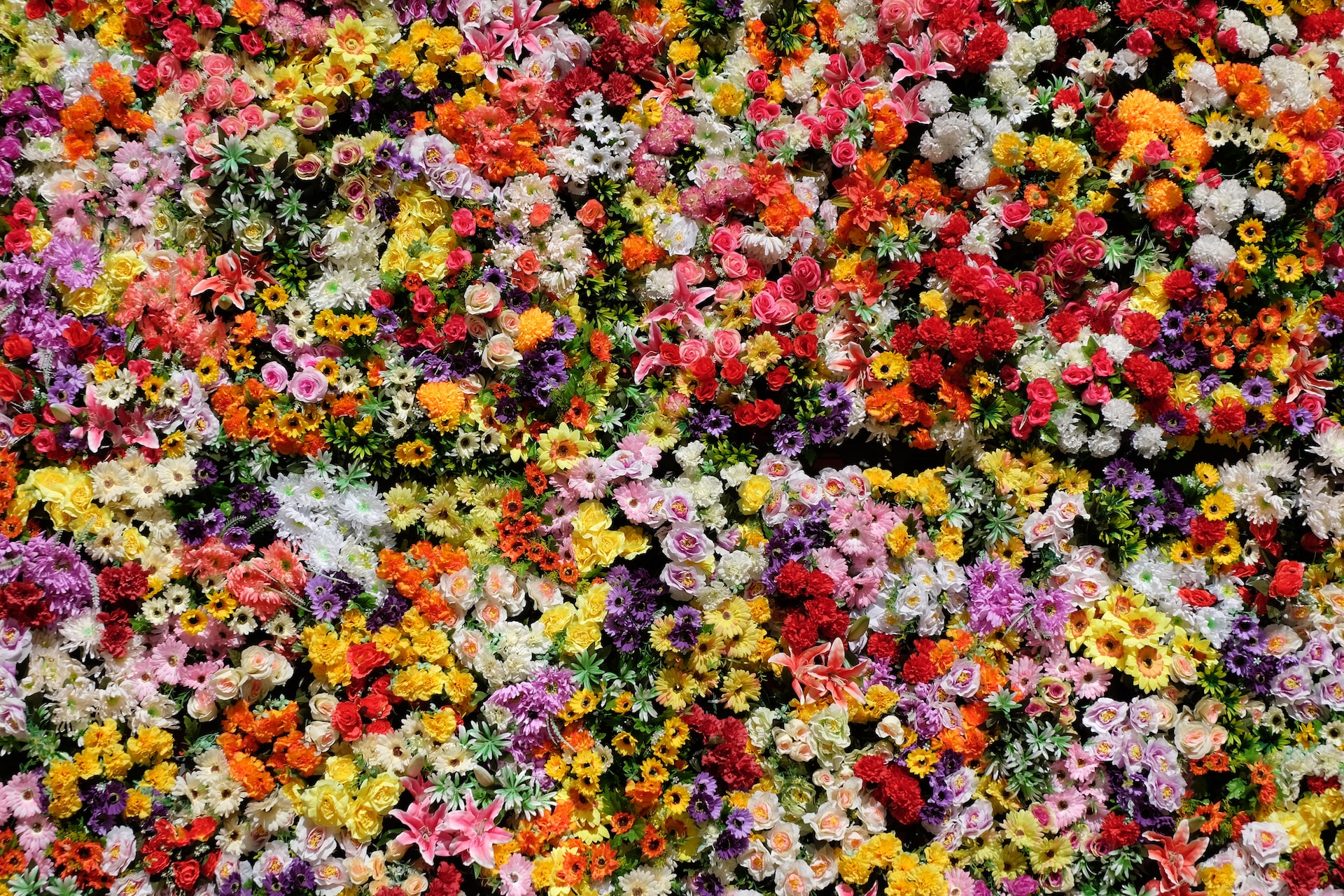 Flower Wall by Julien Chatelain