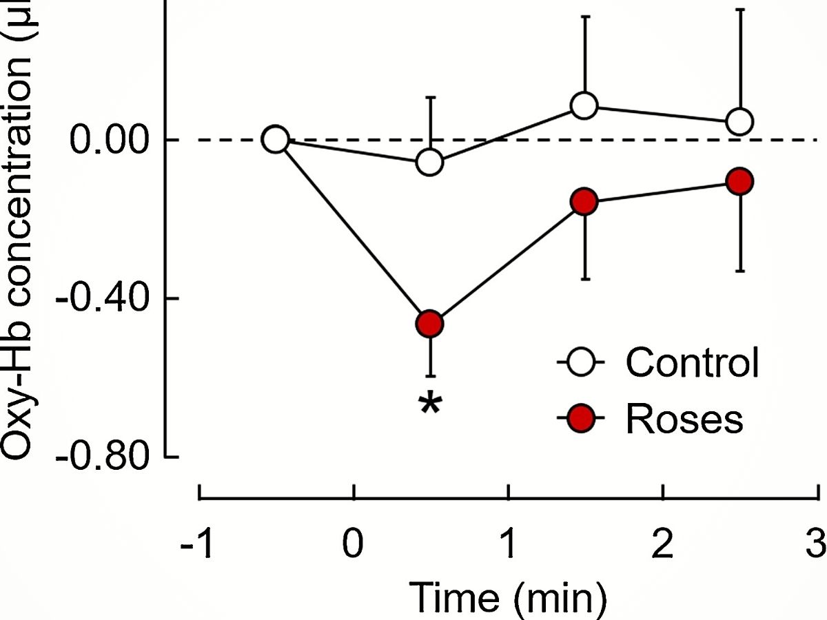 How red roses affect stimulation of the eyes