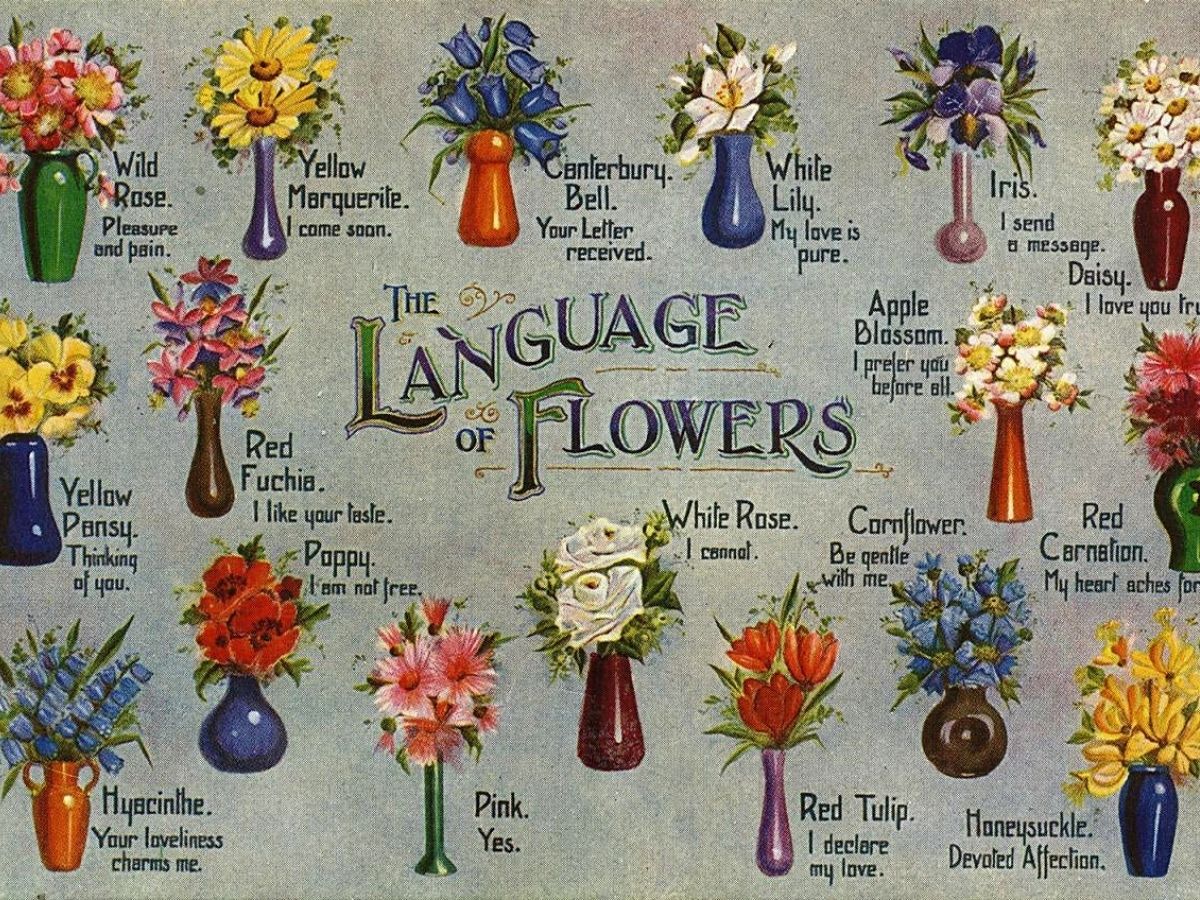 The language of flowers floriography