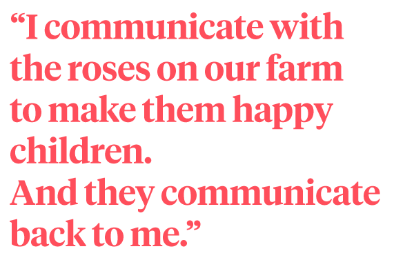 My Roses Are My Children by Ziway Farms quote