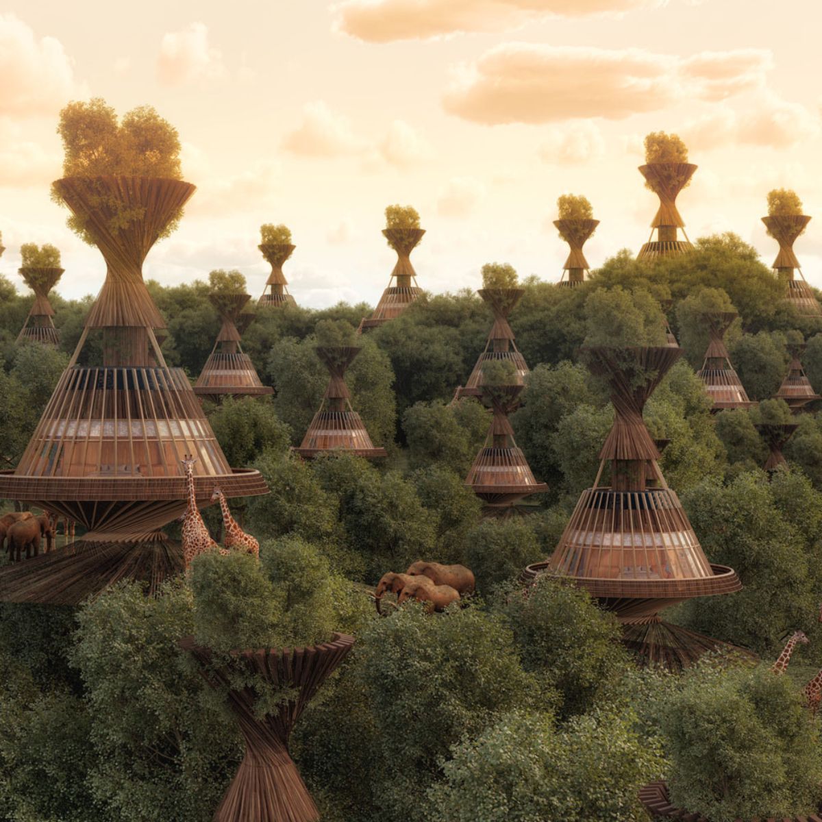 Baobab eco resorts by Mask Architects