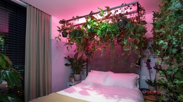 Nature Hotel Pink Article On Thursd