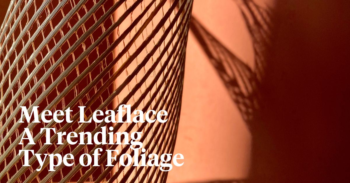 Leaflace trending type of foliage header