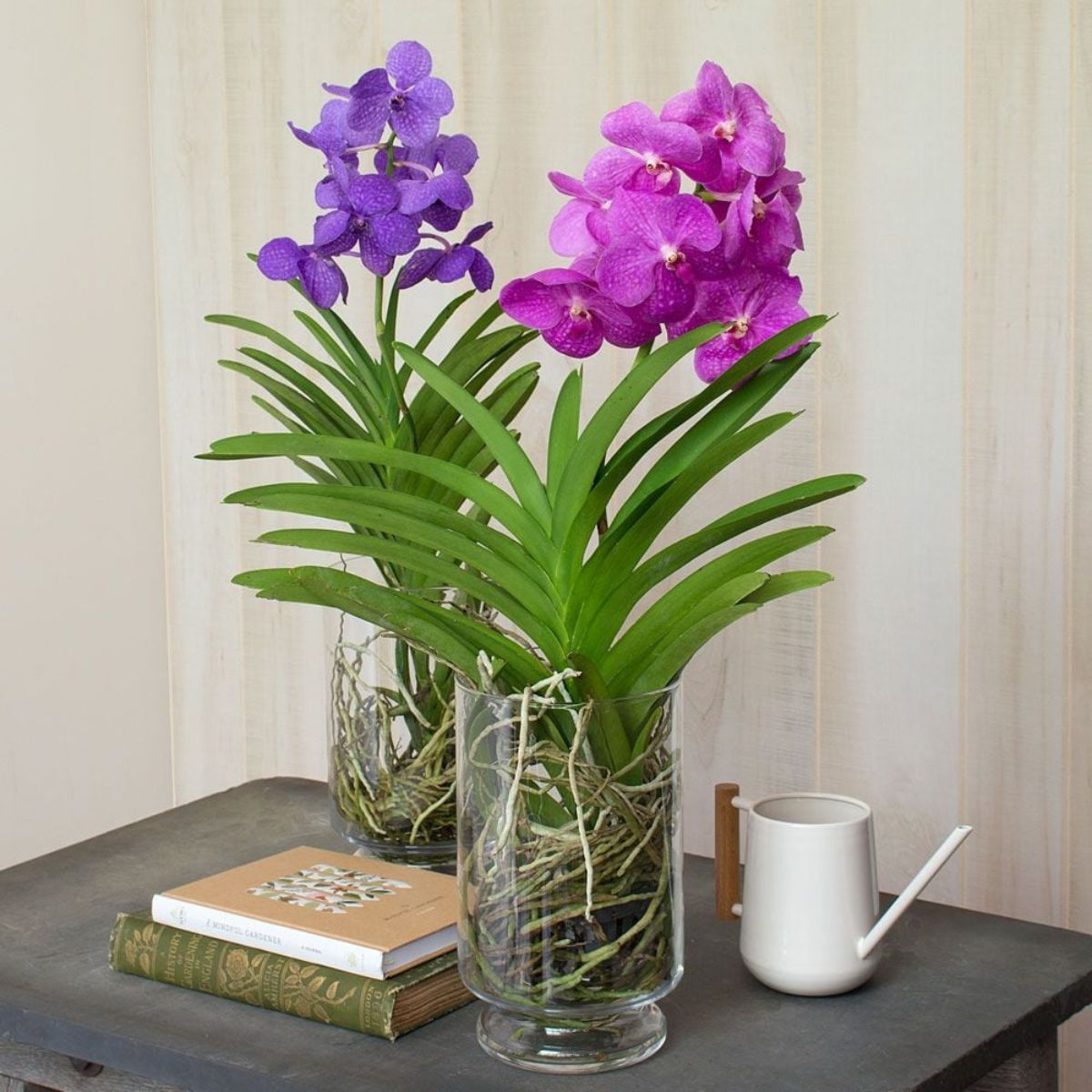 faux coral vanda orchids        
        <figure class=