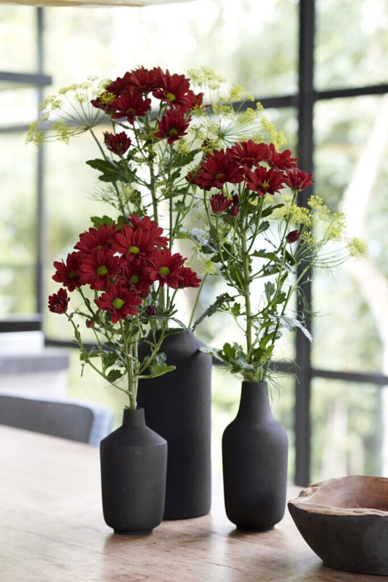 The incredible look of arrangements using Chrysanthemum barolo
