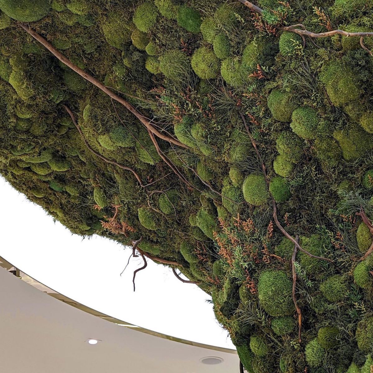 Biophilic moss discs hanging from luxury bag store