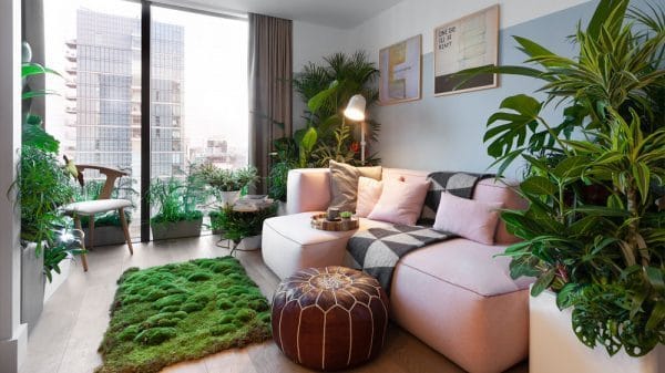 Nature Hotel Suites Article On Thursd
