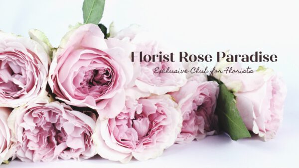 Decofresh Florist Rose Paradise