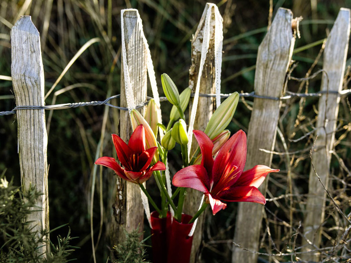 Lily Pokerface Mornington beach on Thursd