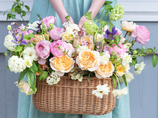 The Spring Floral Edit from David Austin Wedding Roses at Alexandra Farms