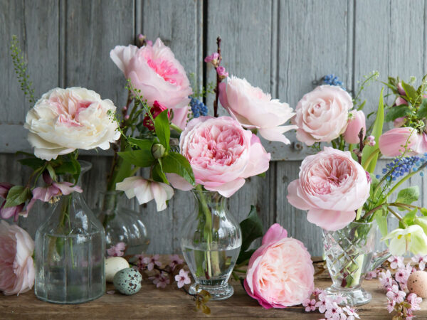 The Spring Floral Edit from David Austin Wedding Roses at Alexandra Farms