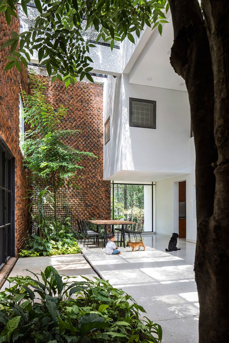 Biophilic interior in Wall House in Vietnam