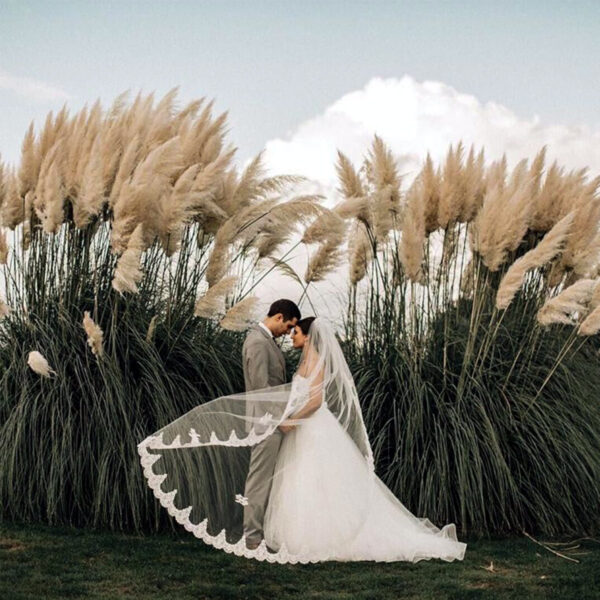 The Comeback of Pampas Grass for Weddings - on Thursd