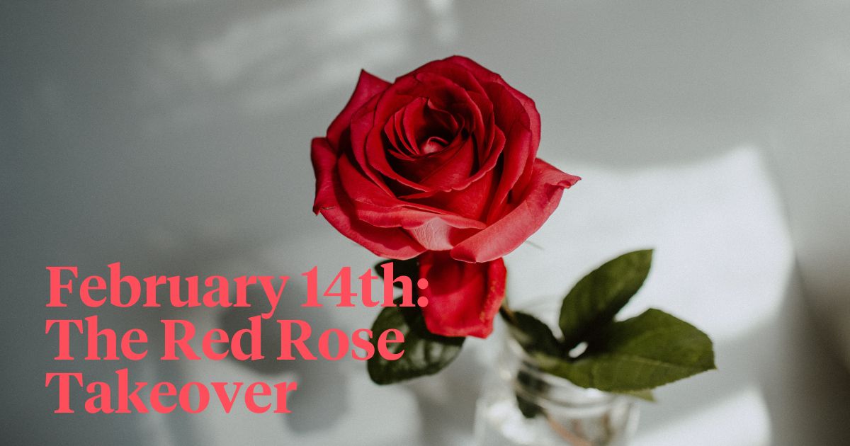 The red rose takeover header