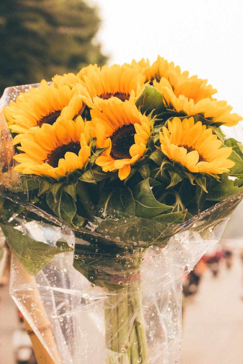 A sunflower bouquet will always make anyone happy