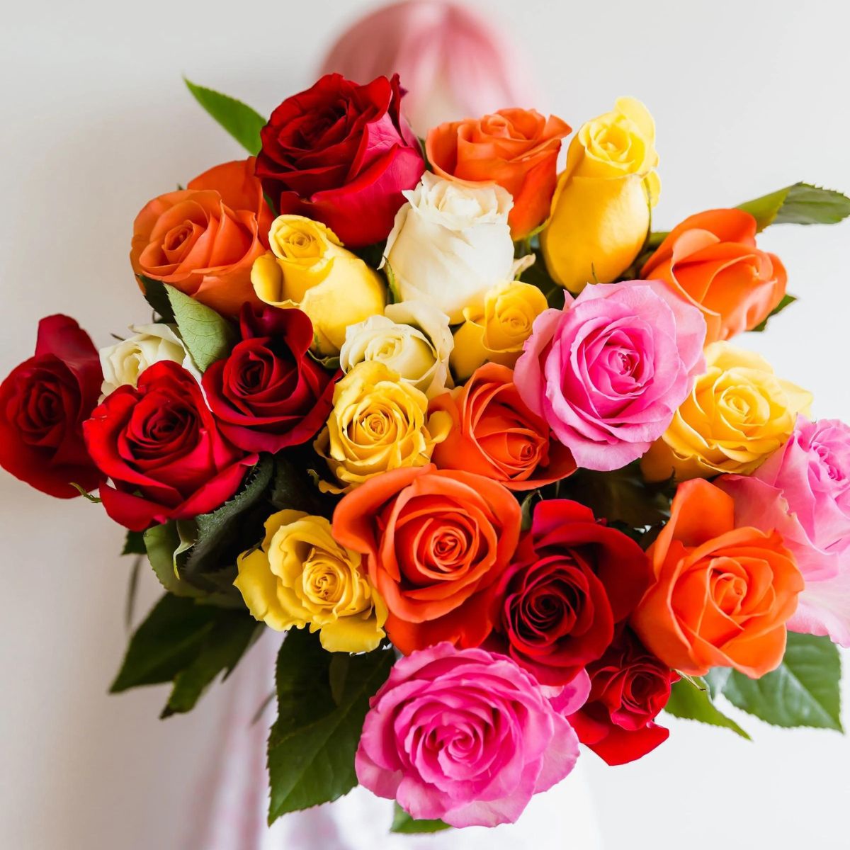 The rose color meaning of eight different roses