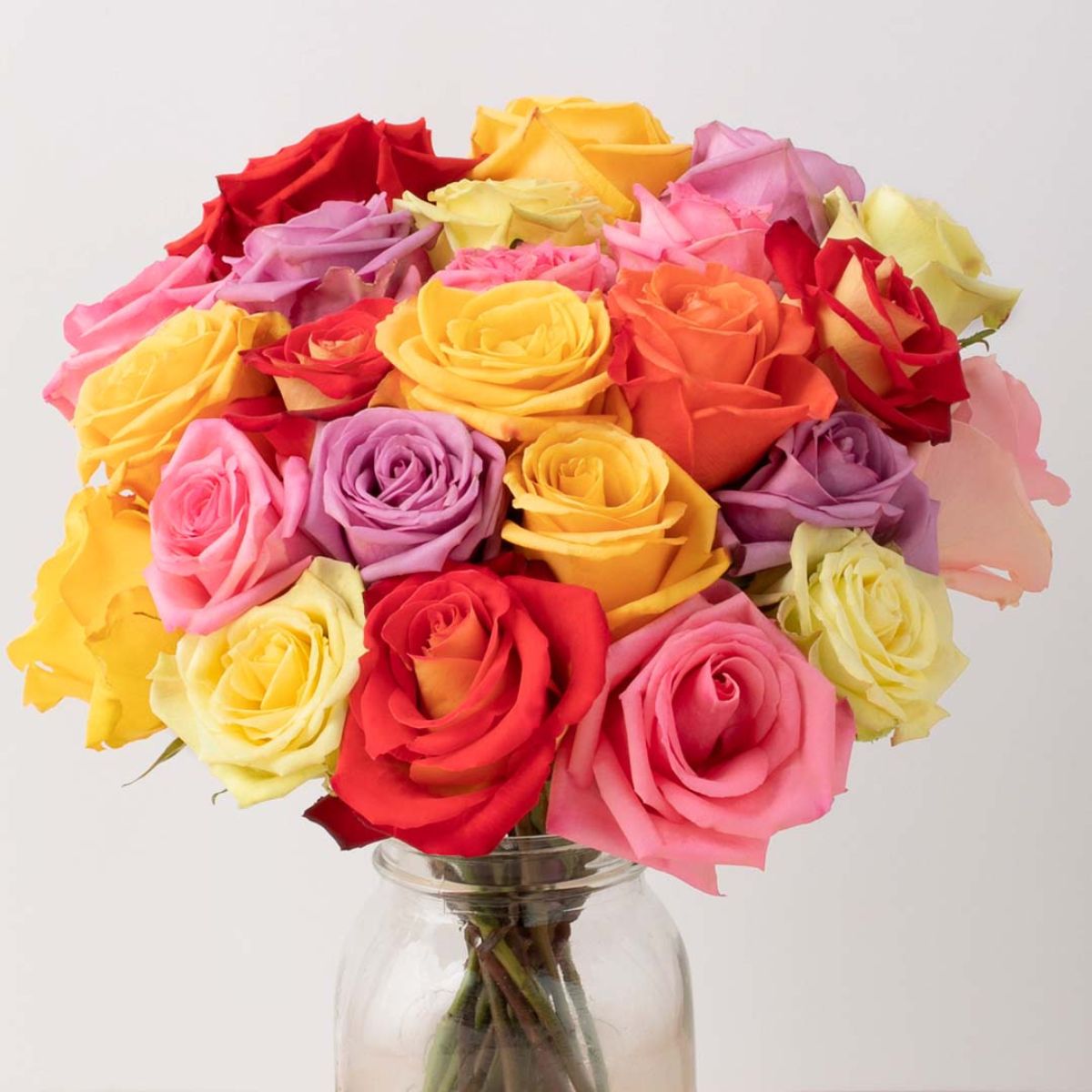 30 Special Rose Color Meanings - Beautiful Flowers for Valentine's Day