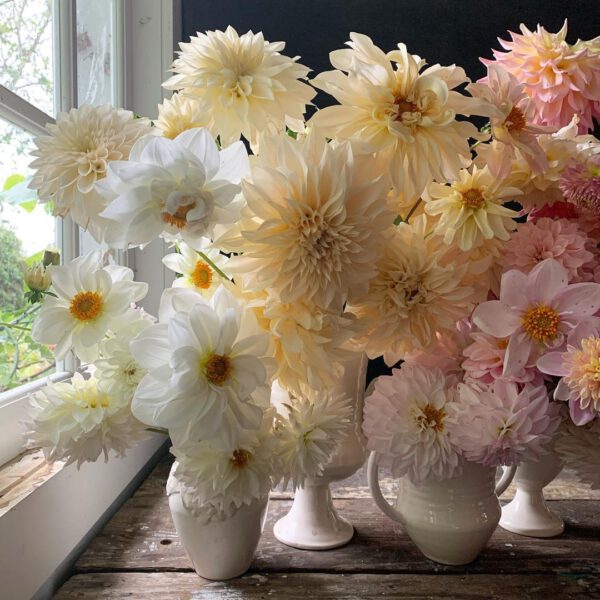 What Are the Wedding Flowers for 2021 - dahlias - floret flower - on thursd
