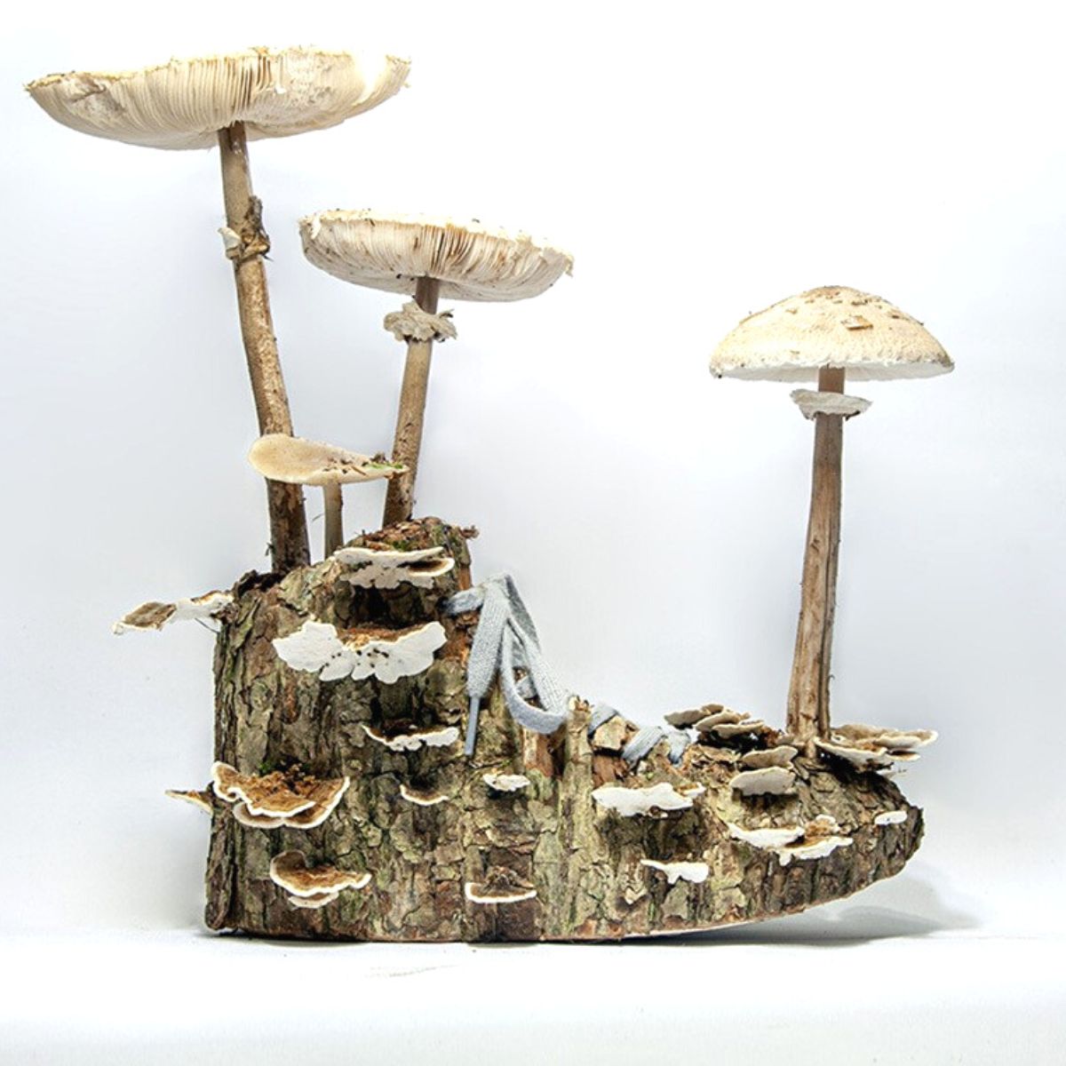 Fungi sneakers by Monsieur Plant