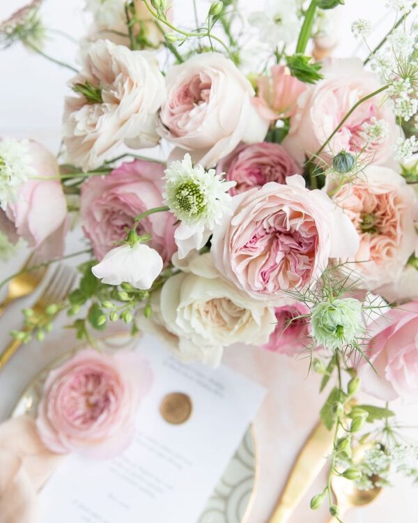 What Are the Wedding Flowers for 2021 - Janne Ford Photography - Keira (Ausboxer) rose - on thursd