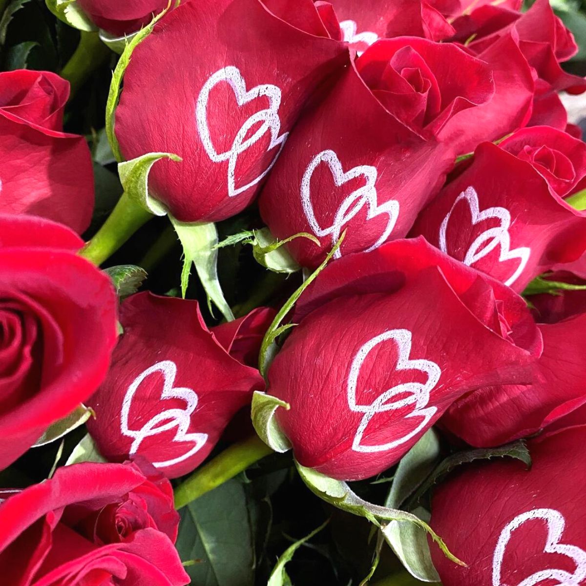 EQR valentines roses