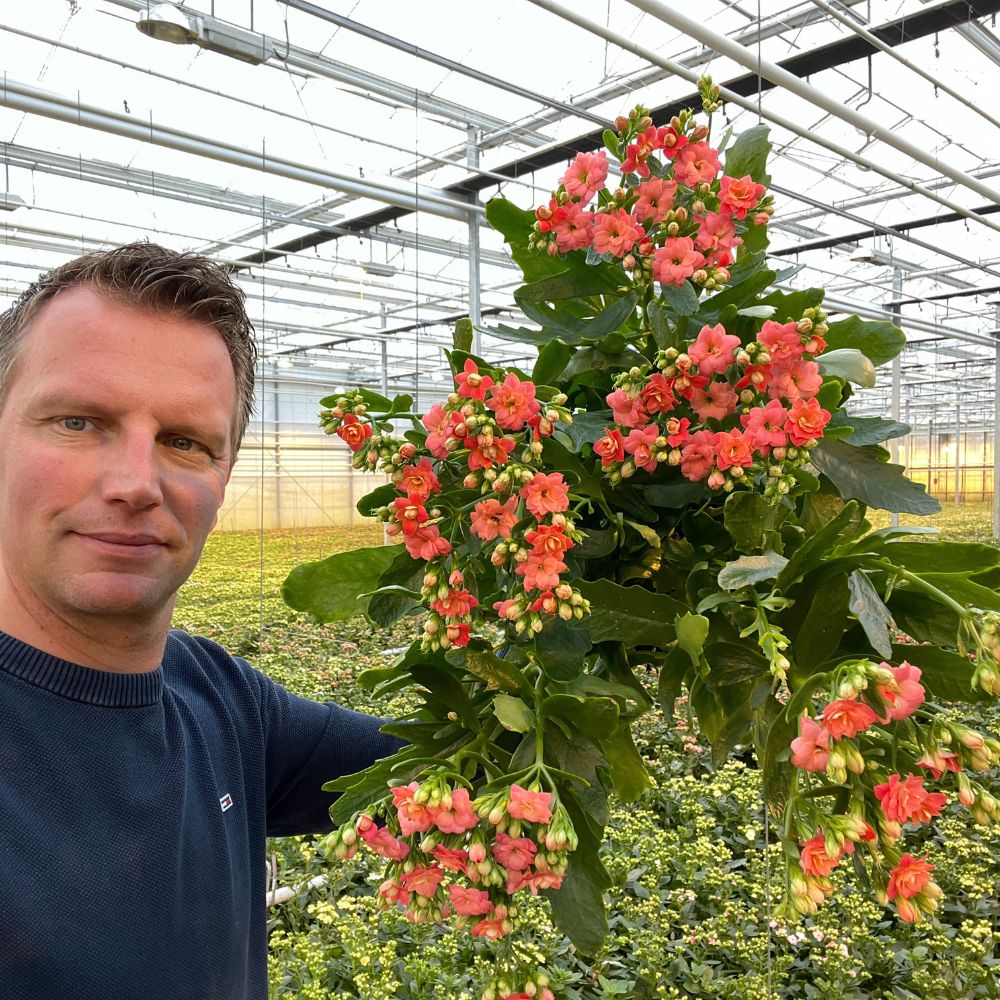 Peter van Delft at Hofland Flower Group