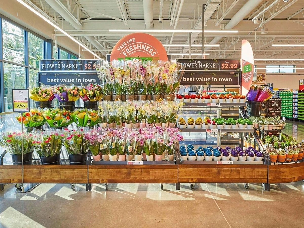 Lidl supermarket boost in flowers sales