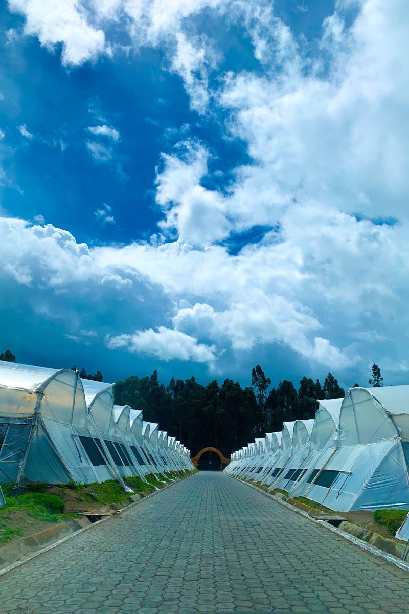 EQR farms in Ecuador