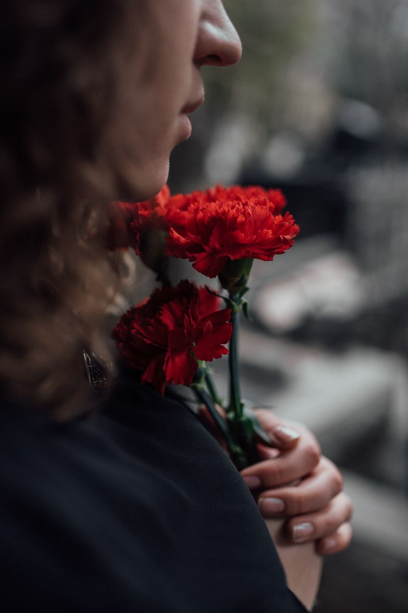 Memorial day red flowers