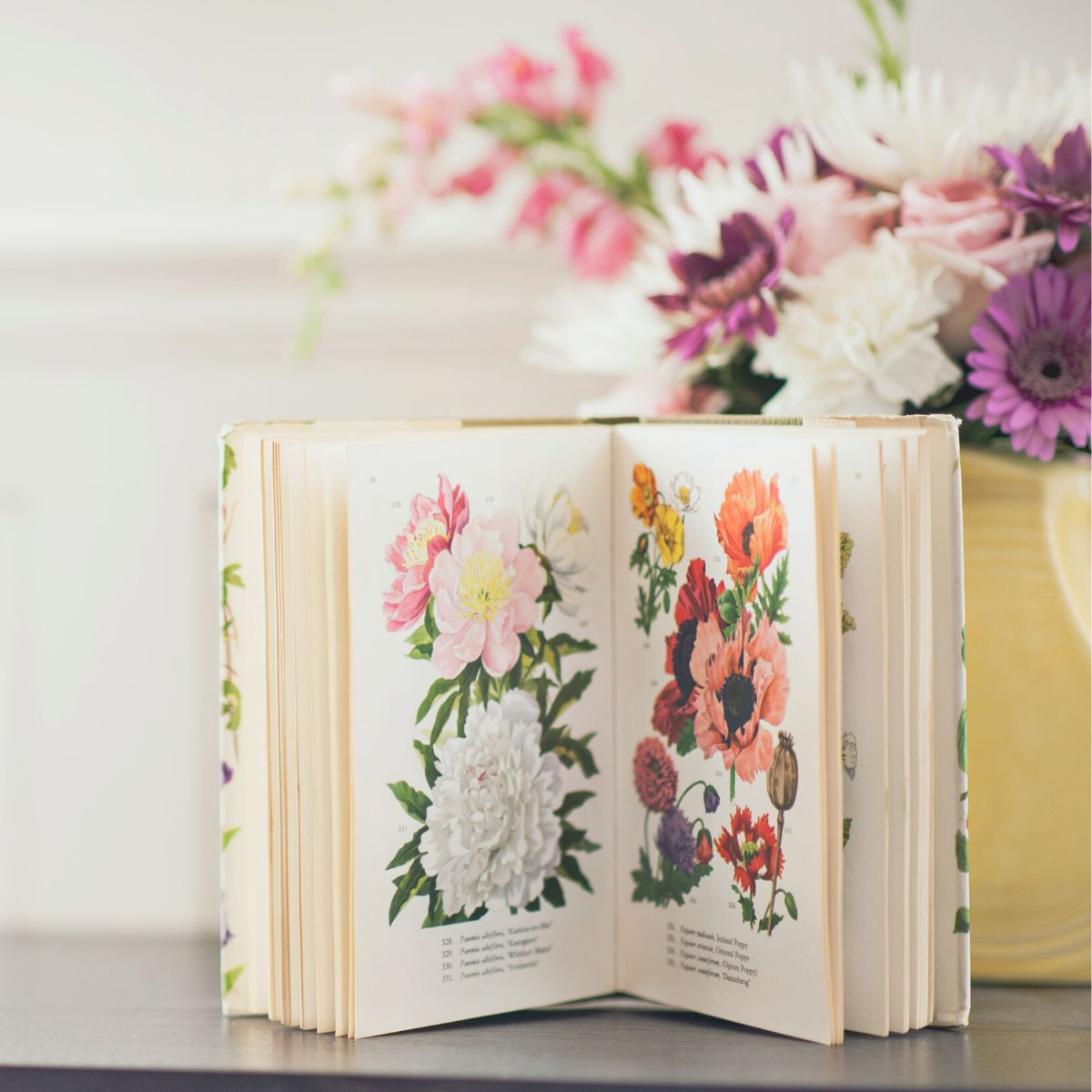 Best floristry books to read in 2023 featured