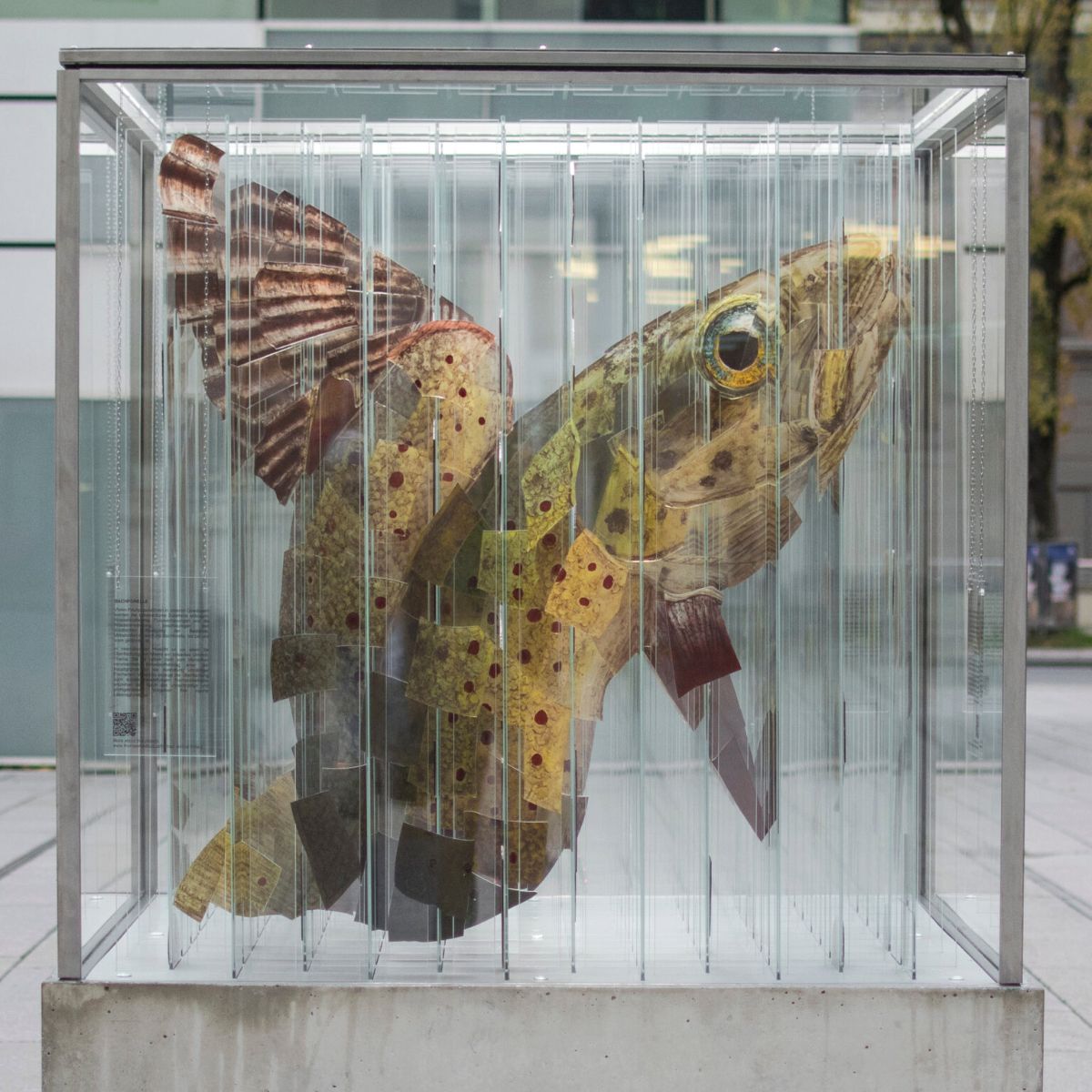 Thomas Medicus' Anamorphic Glass Sculpture Dissolves Endangered Animal