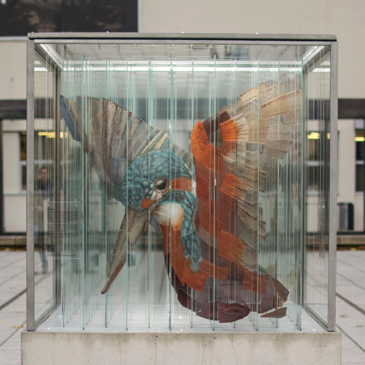 Hummingbird anamorphic art