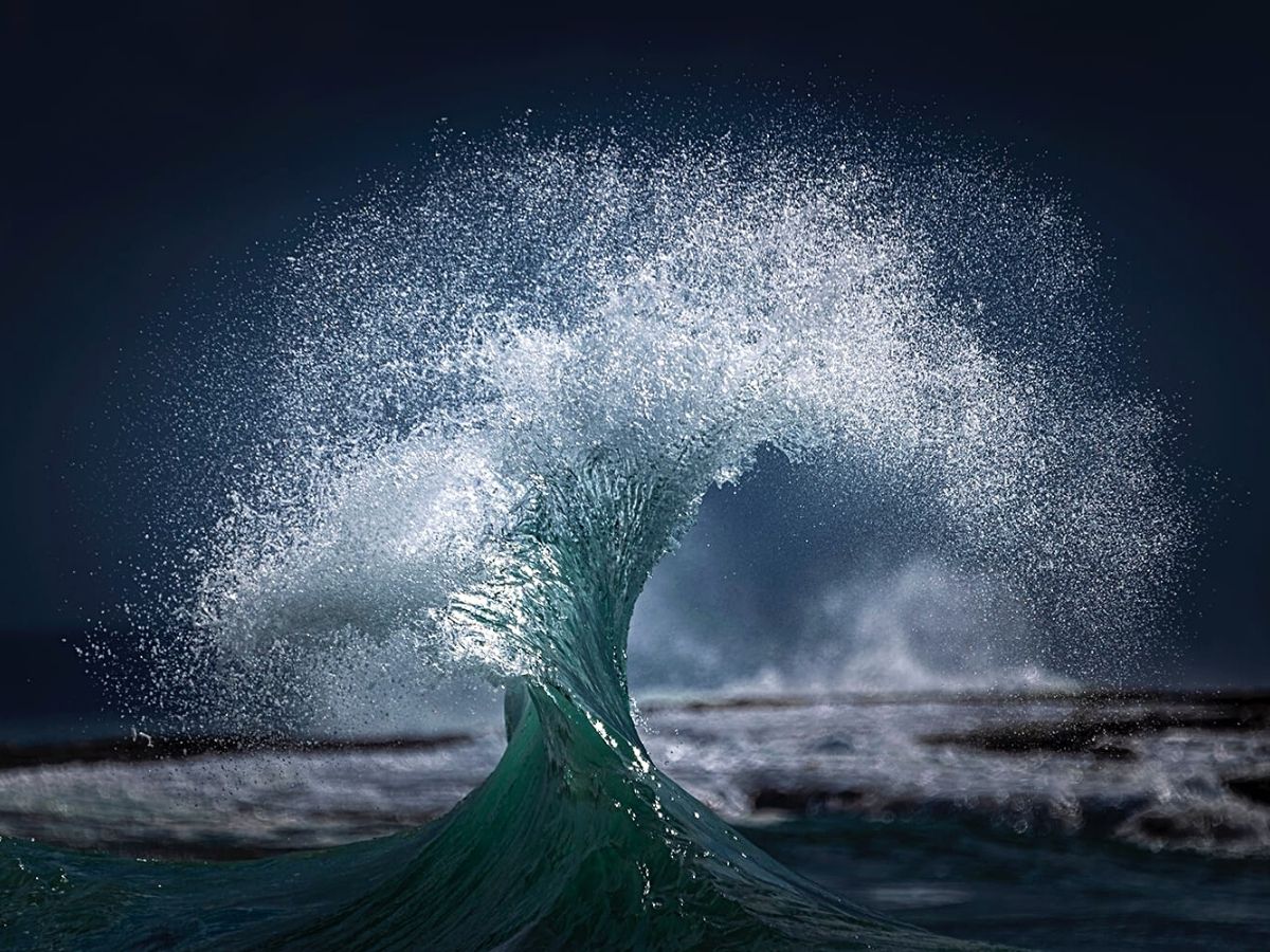 Tree of life by Ray Collins