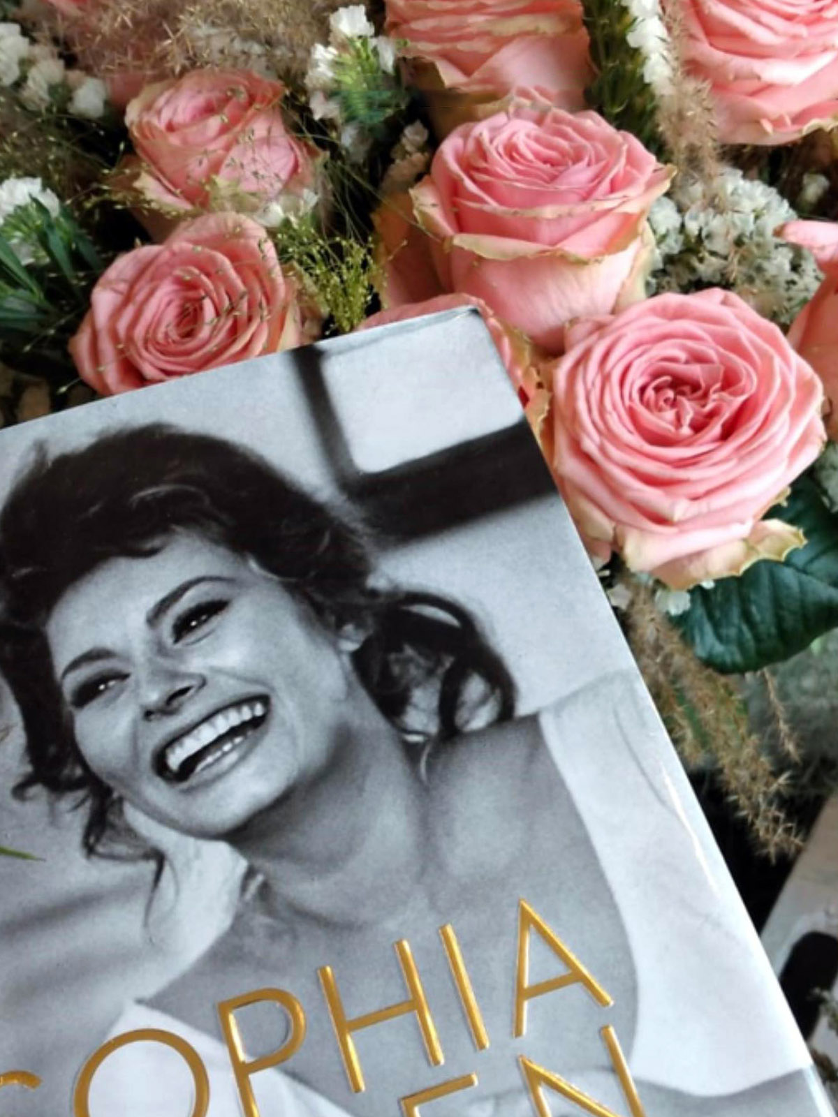 Jan Spek Rozen Rose Sophia Loren