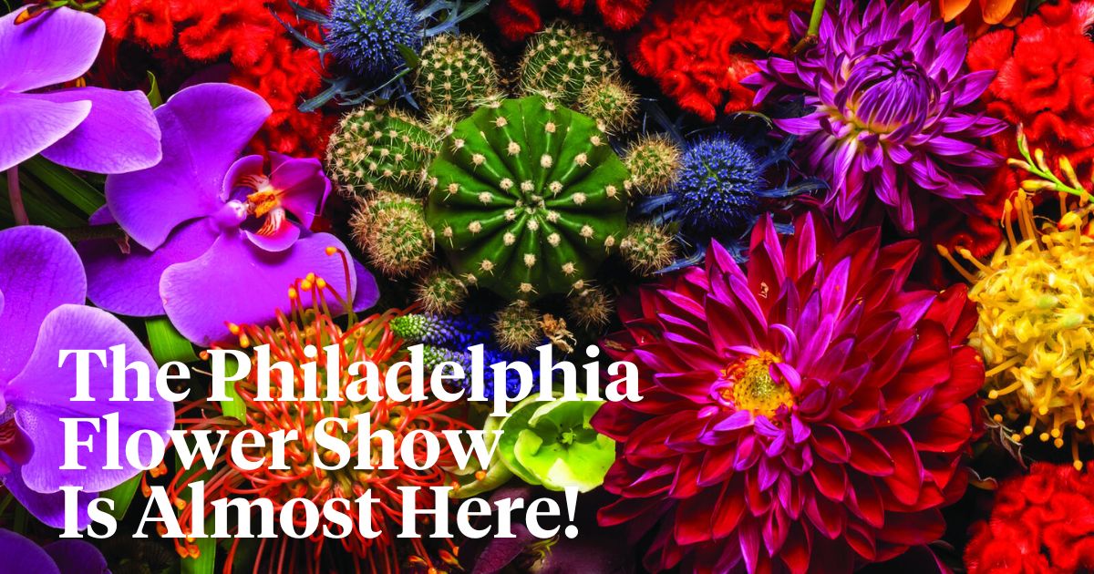 The Philadelphia Flower Show is almost here header