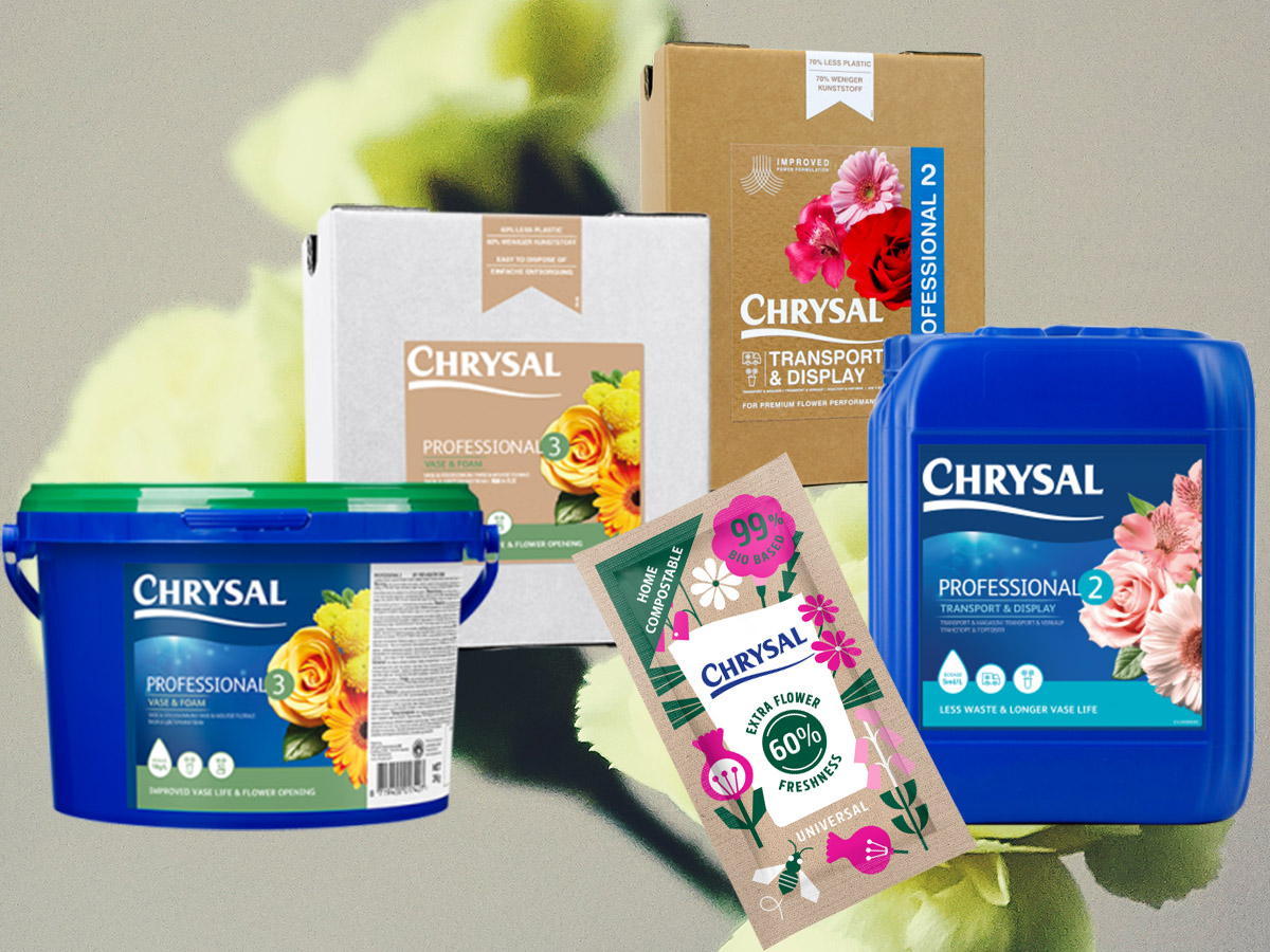 Chrysal for spray carnation florists and consumers