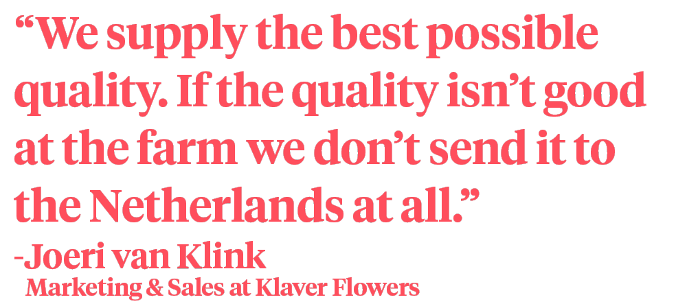 Klaver Flowers Joeri van Klink quote