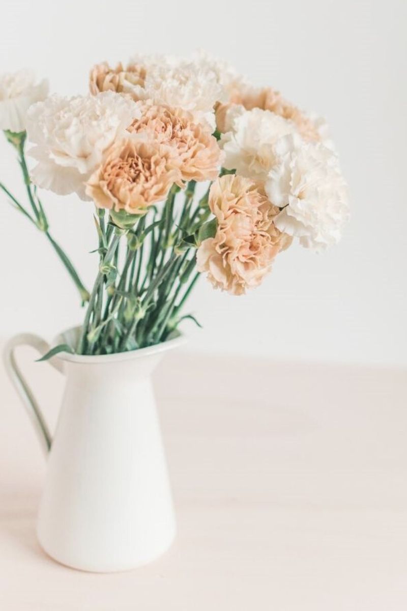 Birth month flowers for january are carnations