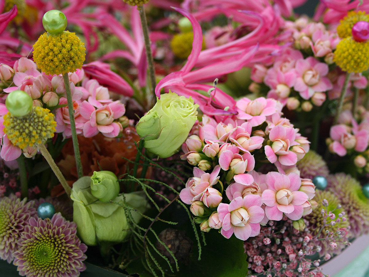 Pink cut Kalanchoe design