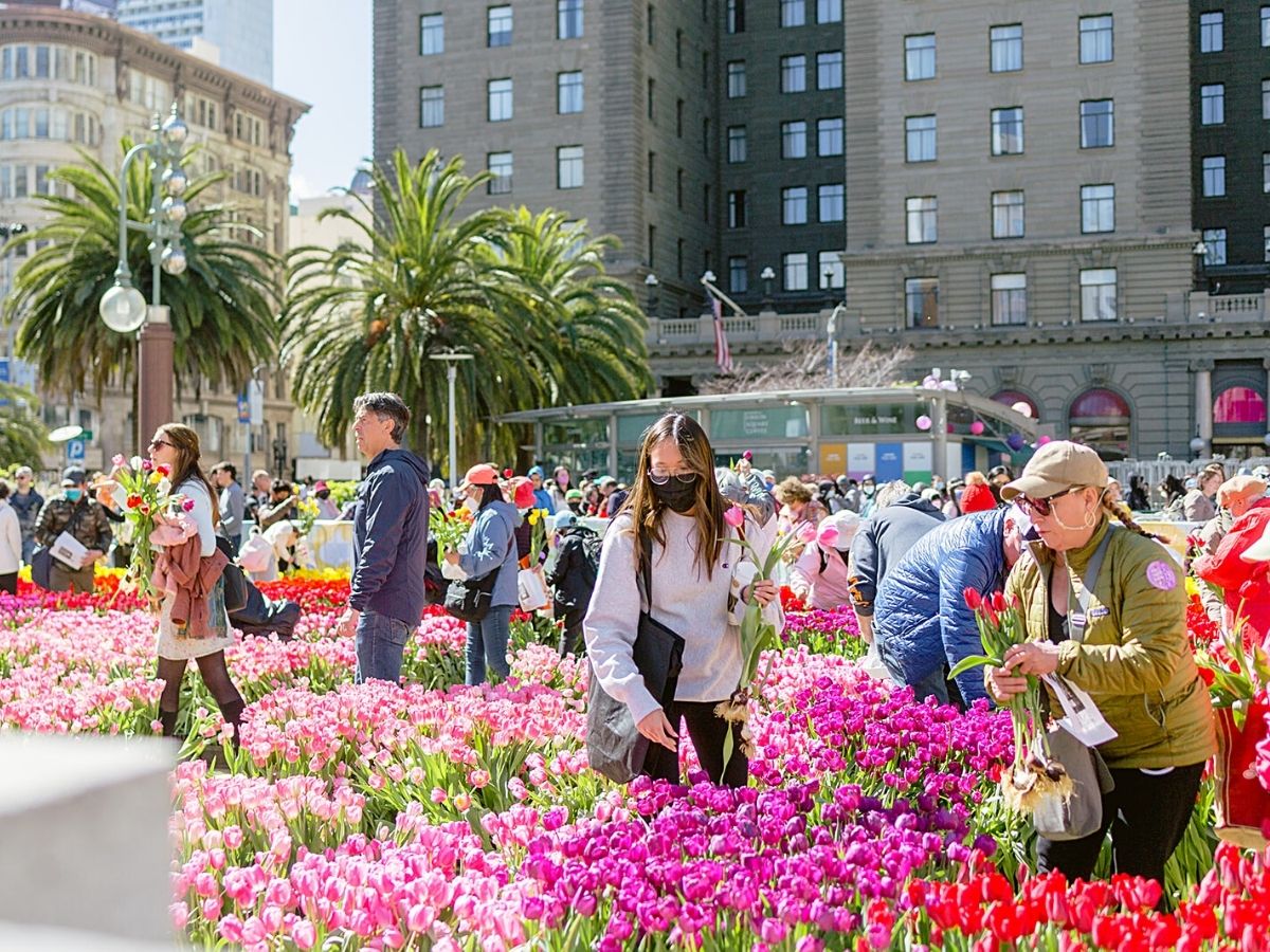 Tulips will invade Union Square in 2023