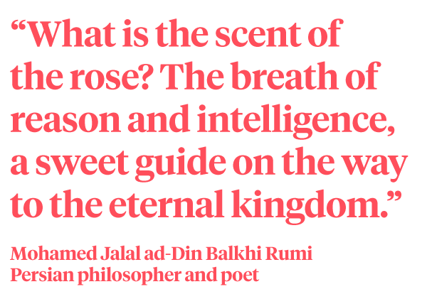 Meaning of the Eternal Rose - A complete guide – Persa Flores