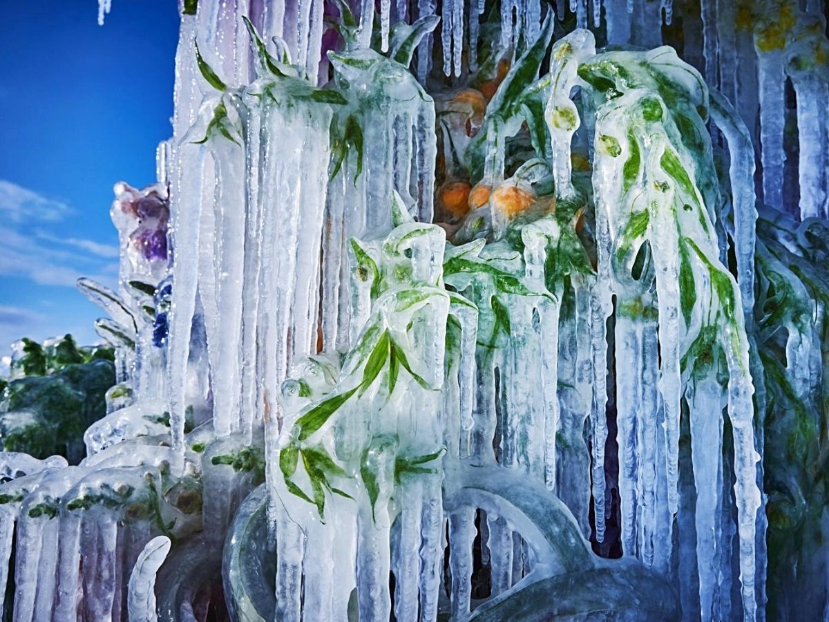 Frozen flower sculptures by Azuma Makoto