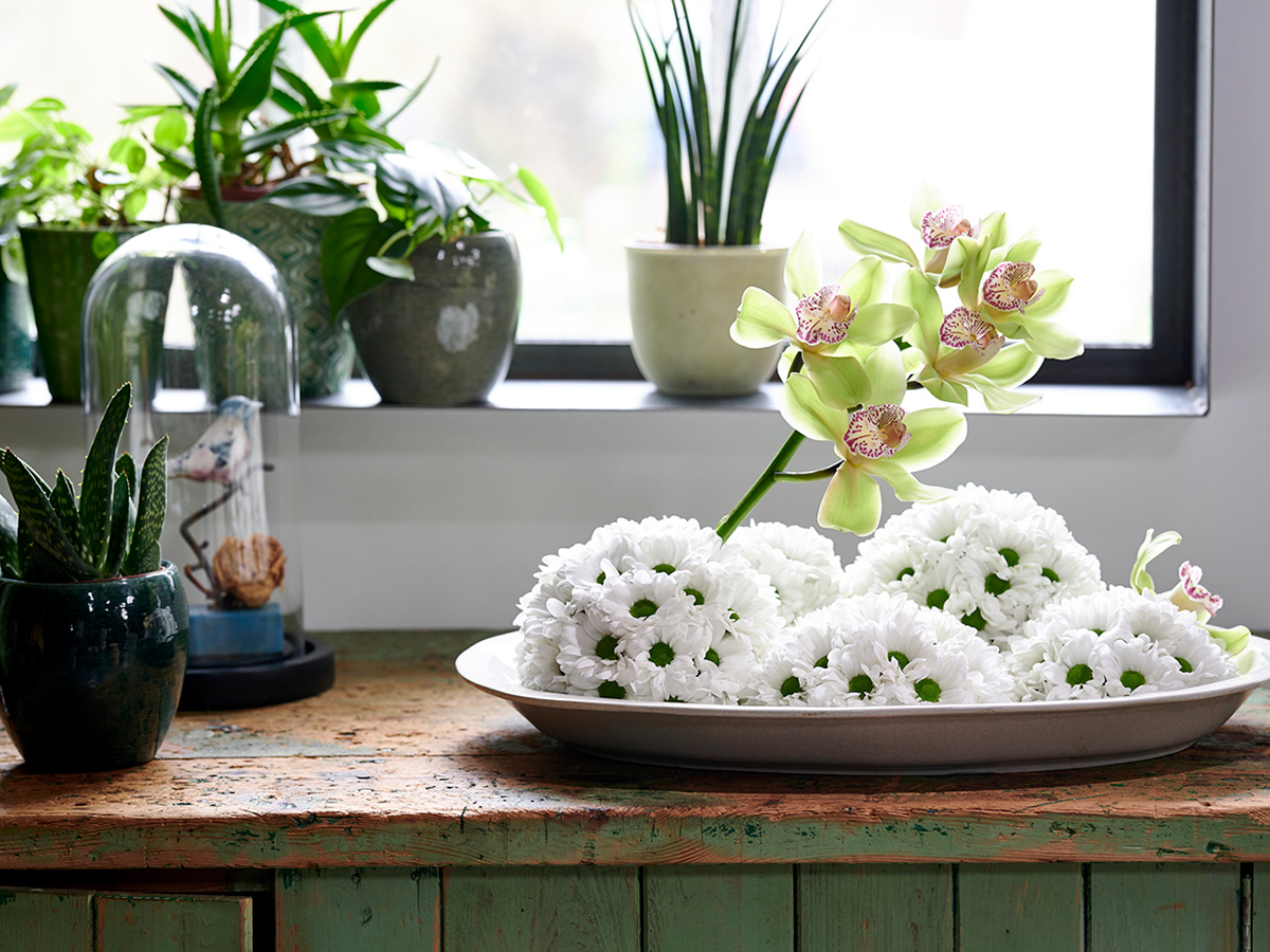 Chrysanthemum Chic Easter platter design