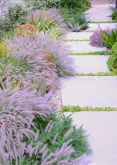 Designer Ideas for Inspired Pathway Plantings Soft Texture Walkway