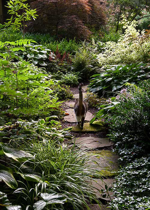 Designer Ideas for Inspired Pathway Plantings Romantic Garden Walkway